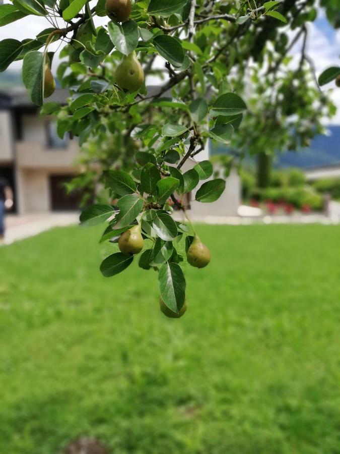 Apartment Losc - Podbela Breginj 外观 照片